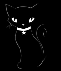 Чёрная кошка с кулоном на шее