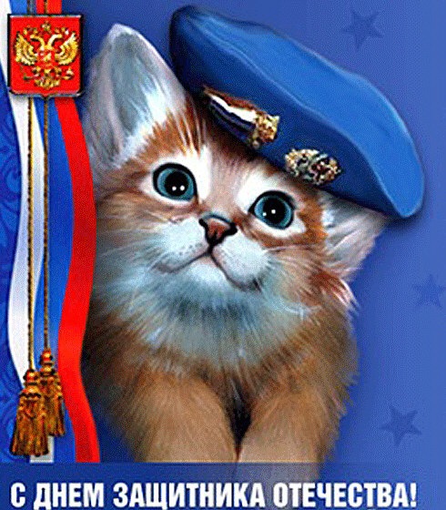 Поздравление с Днём защитника отечества от котёнка в фуражке