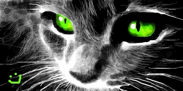 Красивые зелёные глаза кошки
