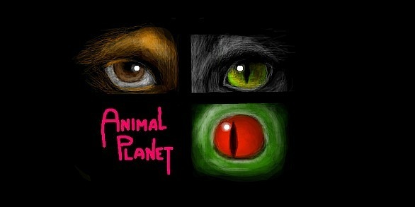 Глаза животных Animal planet