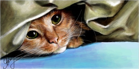 Рыжий кот с красивыми глазами под одеялом