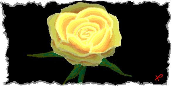 Жёлтая роза на чёрном фоне